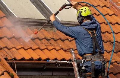 Démoussage et hydrofuge de toiture à Lème